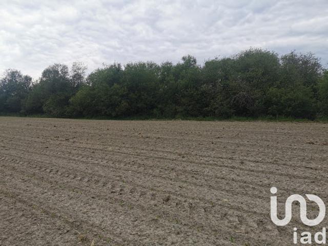 Terrain vente à France métropolitaine, Hinx
