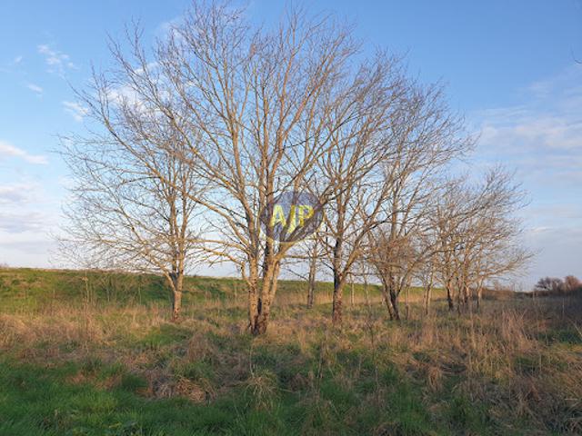 Terrain vente à Jau-dignac-et-loirac, Semensan