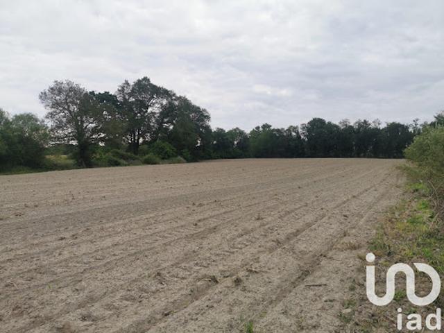 Terrain vente à France métropolitaine, Hinx