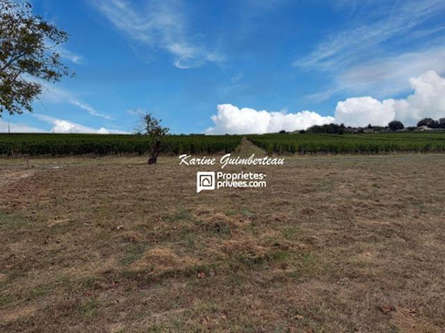 Terrain vente à Libourne, Lussac
