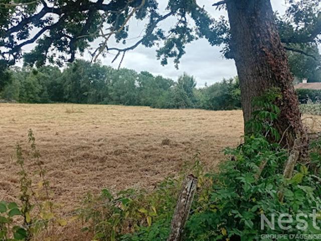 Terrain vente à Prés de la Grave, Saujon