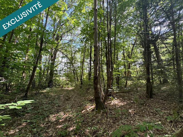 Terrain vente à France métropolitaine, Saint-vivien-de-blaye