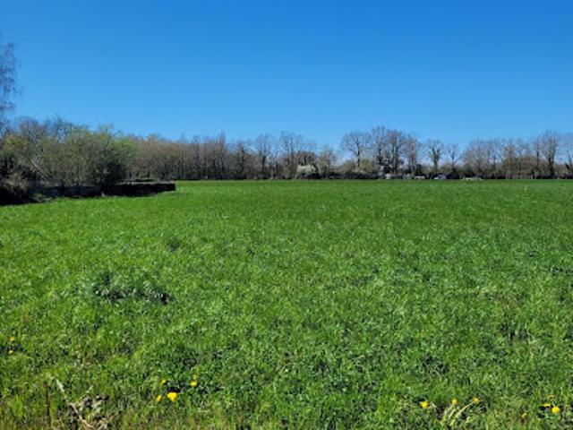 Terrain vente à La Roche-sur-Yon, La Ferrière