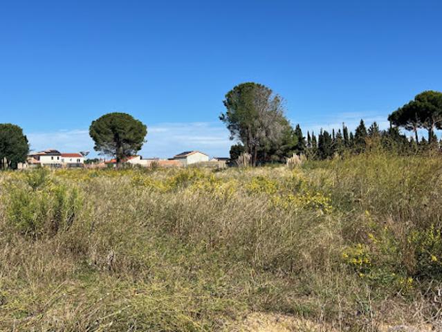 Terrain vente à Céret, Laroque-des-albères