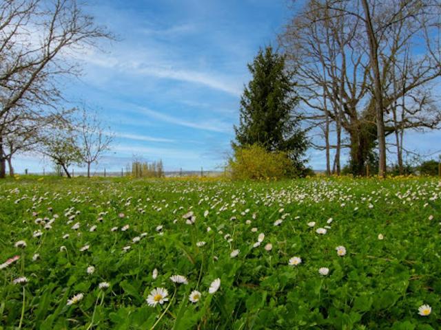 Terrain vente à Libourne, Lugon-et-l'ile-du-carnay