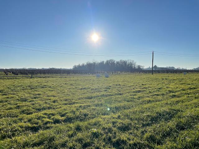 Terrain vente à France métropolitaine, Cars