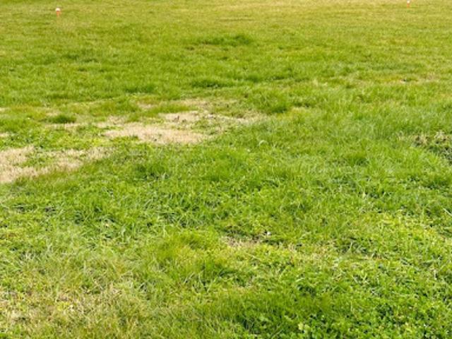 Terrain vente à Casse des Prés, Ciré-d'Aunis