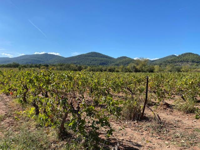 Terrain vente à Arrondissement de Toulon, Le Castellet