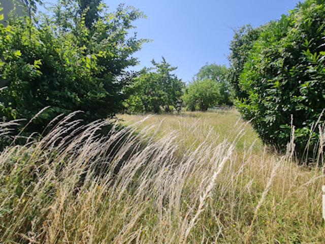Terrain vente à Neufchâtel-sur-aisne