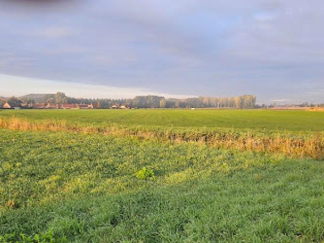 Terrain vente à Raimbeaucourt, Nord