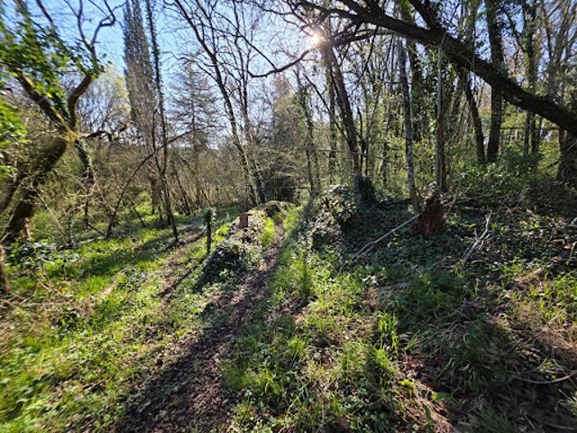 Terrain vente à Châtellerault, Angles-sur-l'anglin