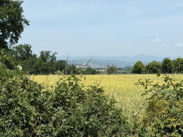 Terrain vente à Roannes, Roannes-Saint-Mary