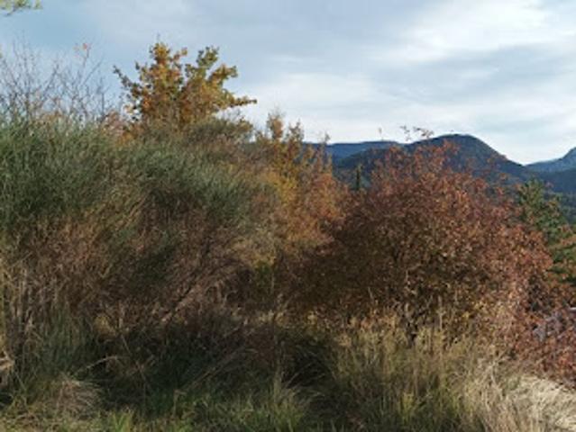 Terrain vente à Limoux, Quillan