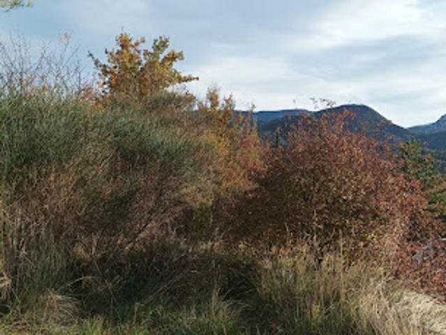 Terrain vente à La Joncquière, Quillan