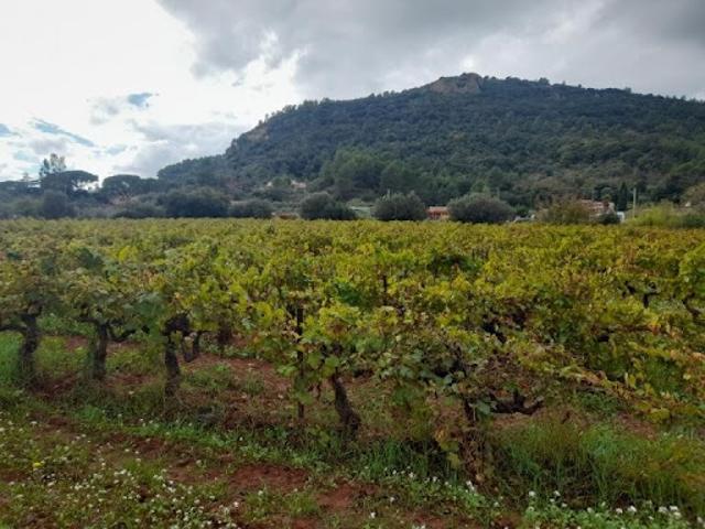 Terrain vente à Puget-Ville, Var