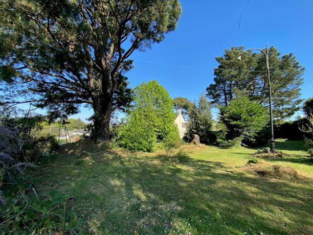 Terrain vente à Châteaubriant-Ancenis, Grandchamps-des-fontaines