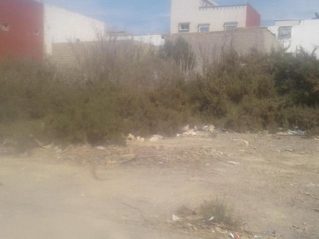 Terrain vente à Aourir, Oued ed Dahab-Lagouira