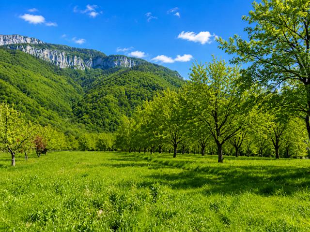 Terrain vente à Le Baron, La Rivière