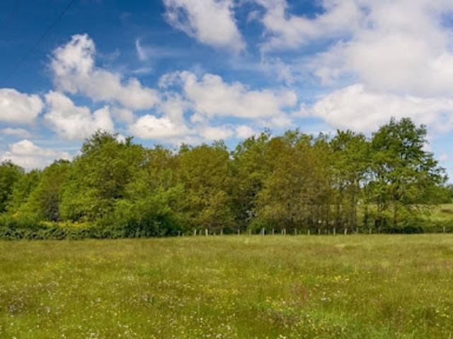 Terrain vente à La Varée, Yvré-l'Évêque