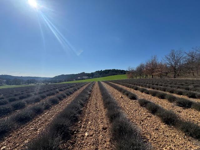 Terrain vente à Forcalquier, Roumoules