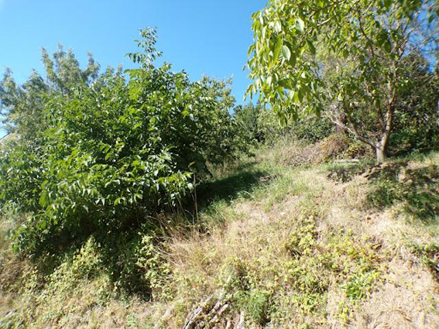 Terrain vente à Tournon-sur-Rhône, Saint-julien-labrousse