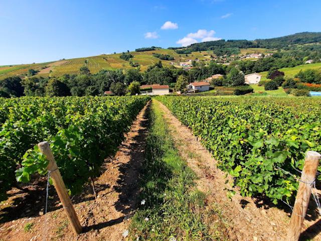 Terrain vente à Villefranche-sur-Saône, Rhône