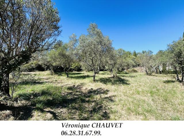 Terrain vente à Arrondissement de Draguignan, Lorgues