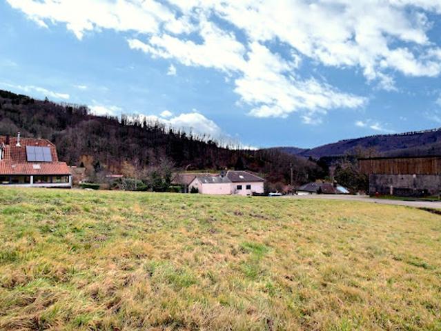 Terrain vente à Sélestat-Erstein, Steige