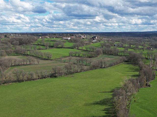 Terrain vente à La Châtre, Lys-saint-georges