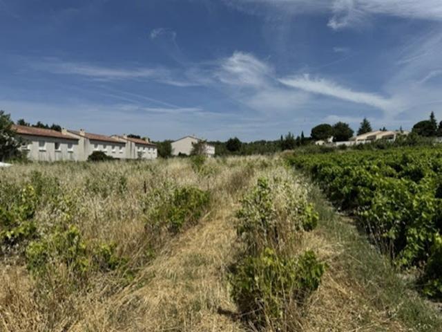 Terrain vente à Carpentras, Mazan
