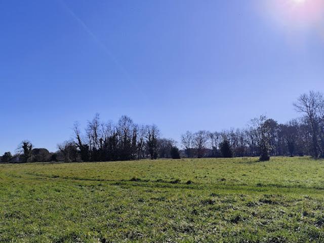 Terrain vente à Lesparre-Médoc, Cussac-fort-médoc