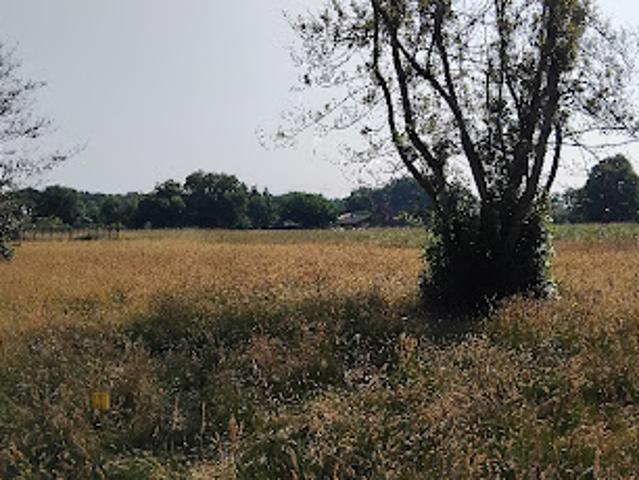 Terrain vente à Lesparre-Médoc, Cussac-fort-médoc