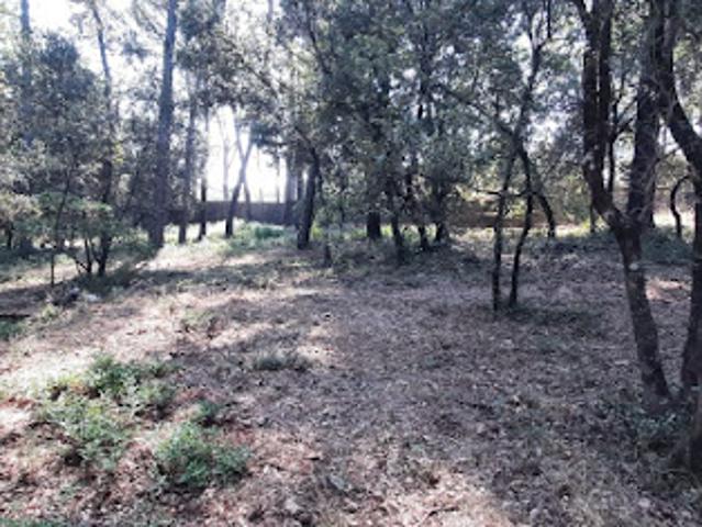 Terrain vente à Brignoles, Le Thoronet