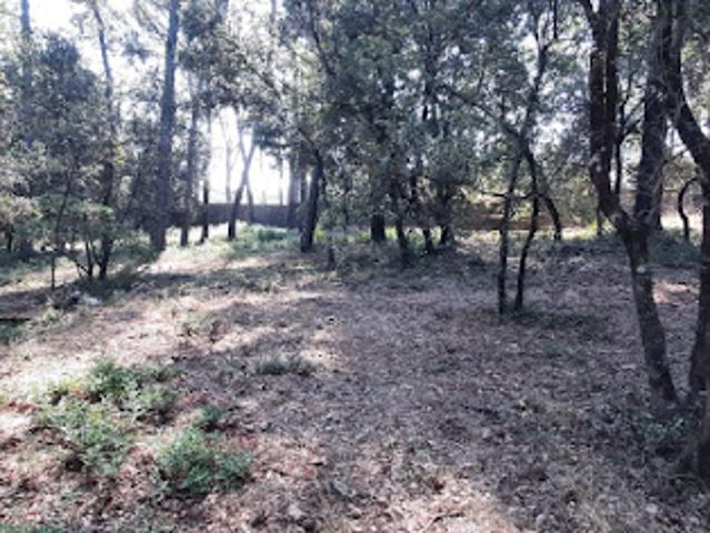 Terrain vente à Brignoles, Le Thoronet