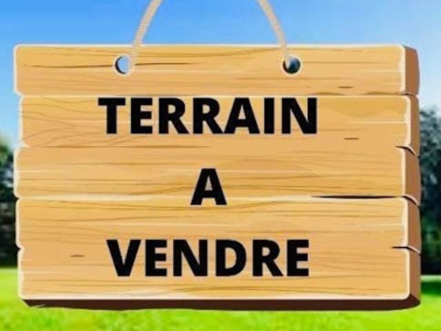 Terrain vente à La Réunion