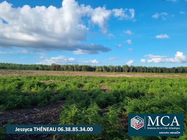 Terrain vente à France métropolitaine, Laluque