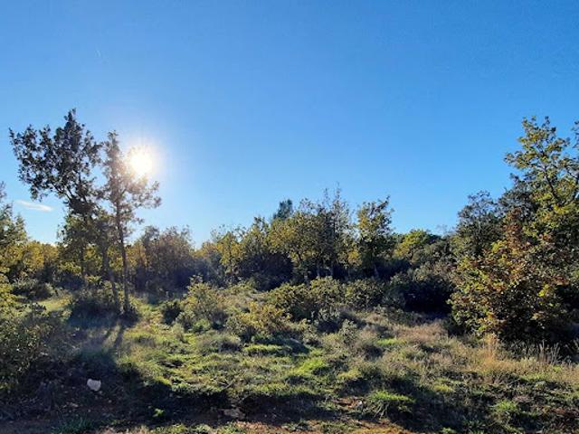 Terrain vente à Brignoles, Régusse