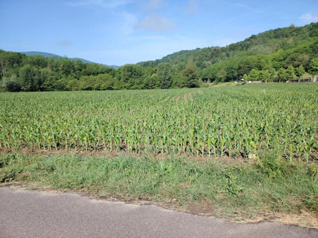 Terrain vente à Auberives-en-Royans, Isère