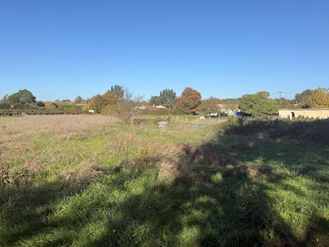 Terrain vente à Blaye, Cartelègue