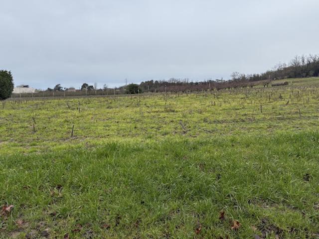 Terrain vente à Marmande