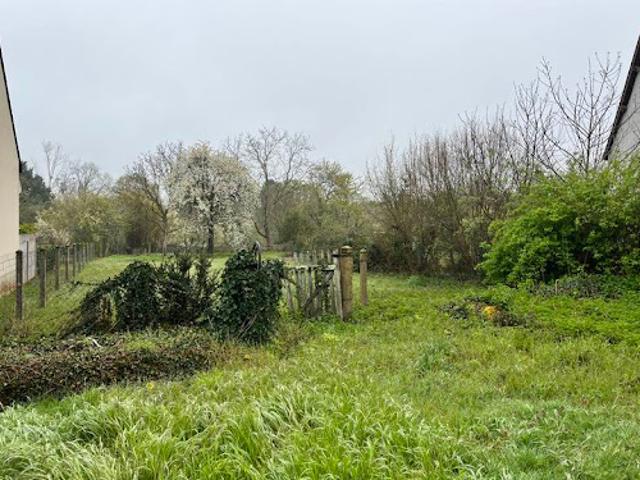 Terrain vente à La Châtre, Saint-denis-de-jouhet