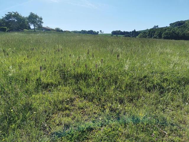 Terrain vente à Muret, Beaumont-sur-lèze