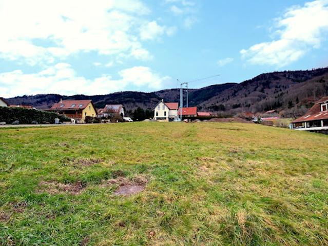Terrain vente à Sélestat-Erstein, Steige