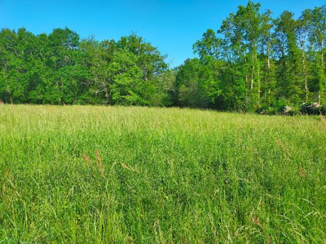 Terrain vente à France métropolitaine, Houlette