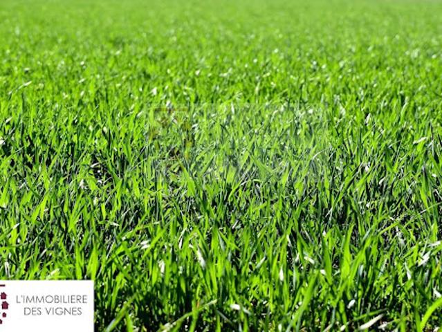 Terrain vente à Villenave-d'ornon, Gironde