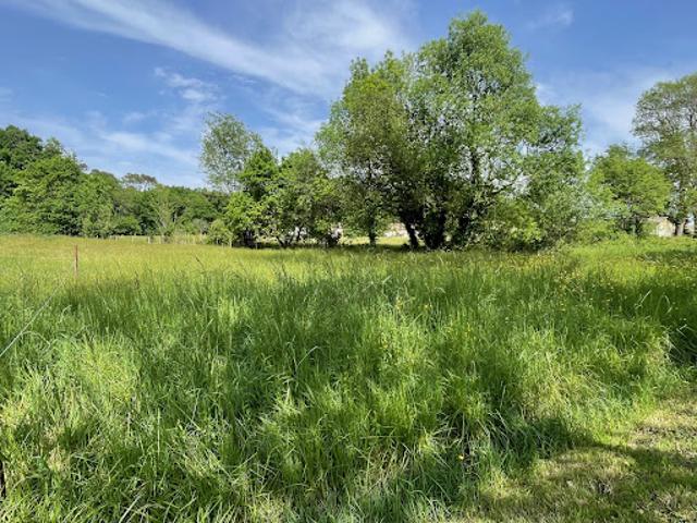 Terrain vente à France métropolitaine, Etauliers