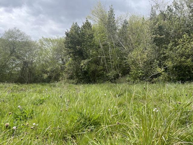 Terrain vente à Bordeaux, Sadirac