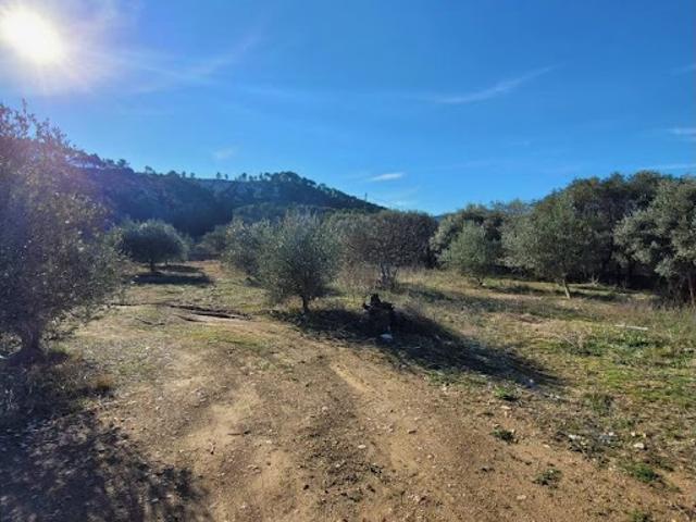 Terrain vente à France métropolitaine, Cuges-les-pins