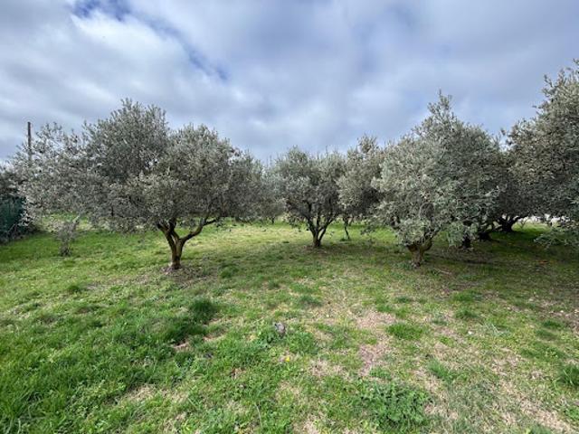 Terrain vente à Avignon, Caumont-sur-durance