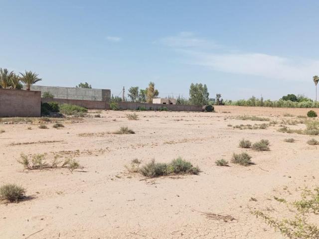 Terrain vente à Al Haouz, L'Oriental